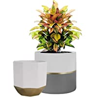 Macetas de cerámica blanca- Macetas interior- Maceta de flores con detalles de oro y gris- Maceteros decorativos…